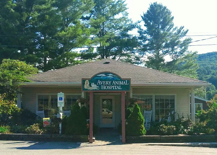 Avery Animal Hospital Picture 9