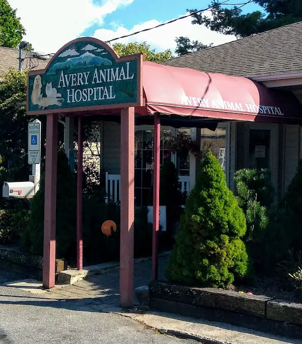 Avery Animal Hospital Picture 10