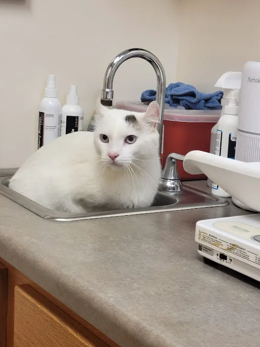 Avery Animal Hospital Picture 6