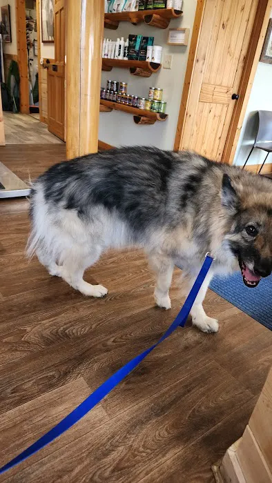 Avery Animal Hospital Picture 1