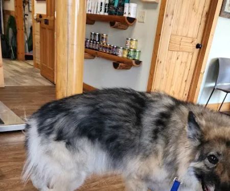 Avery Animal Hospital