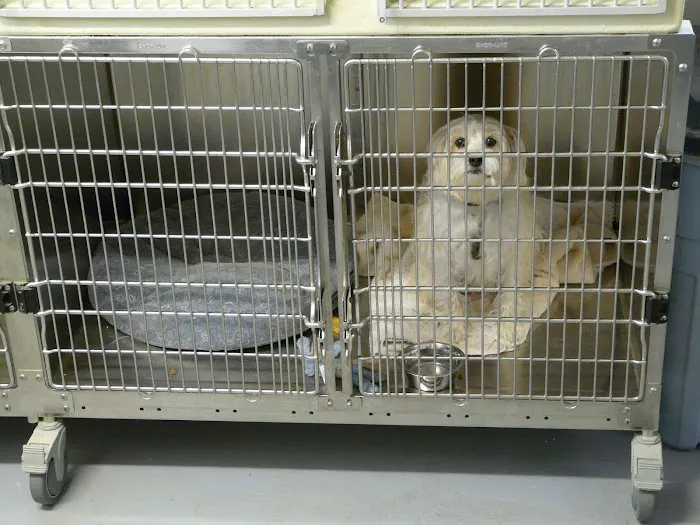 Roan Mountain Animal Hospital: Jablonski DVM Picture 5