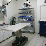 Roan Mountain Animal Hospital: Jablonski DVM