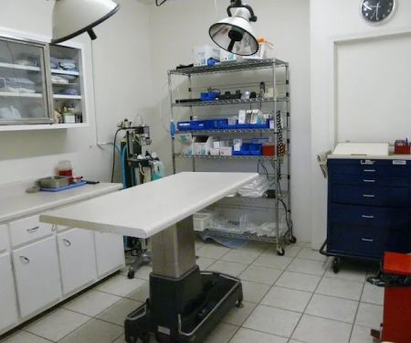 Roan Mountain Animal Hospital: Jablonski DVM