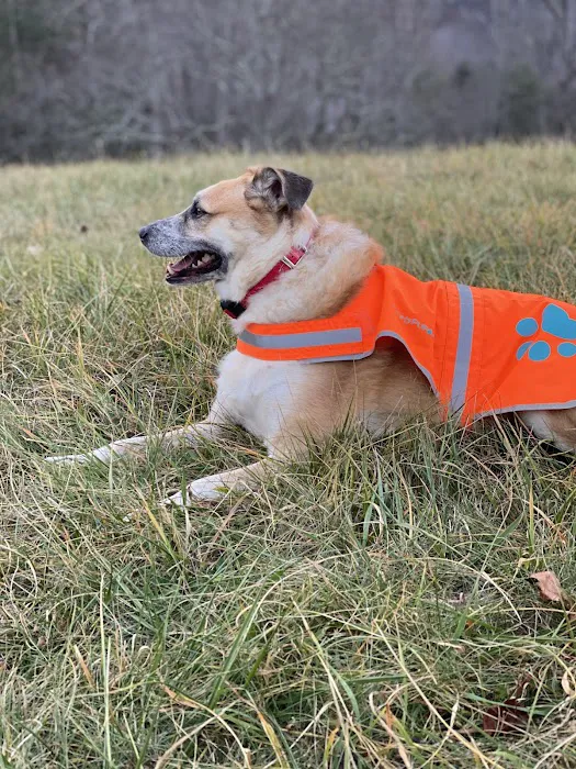 Roan Mountain Animal Hospital Picture 6