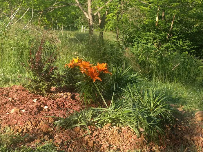 Roan Mountain Animal Hospital Picture 8