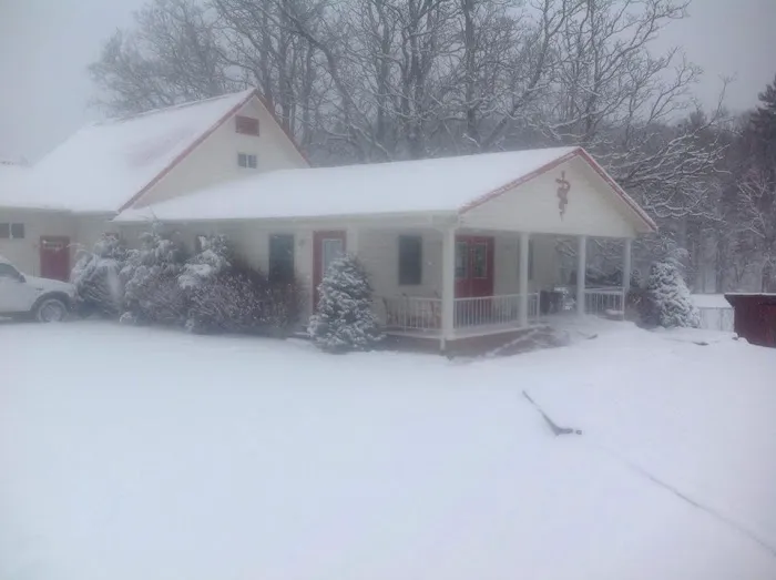 Roan Mountain Animal Hospital Picture 2