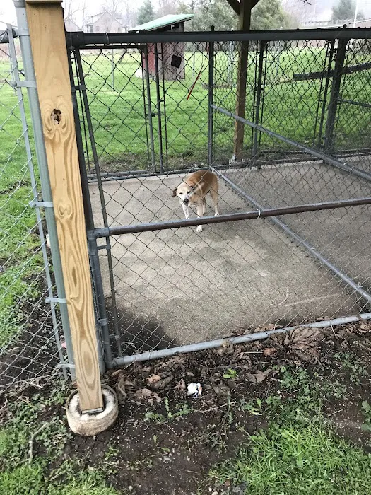 Roan Mountain Animal Hospital Picture 7