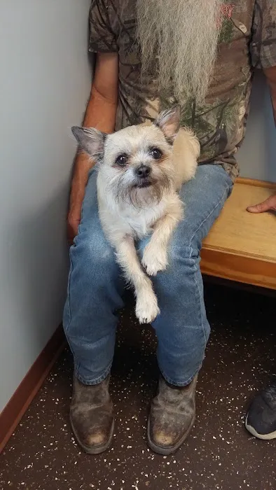 Bunn Animal Hospital Picture 4