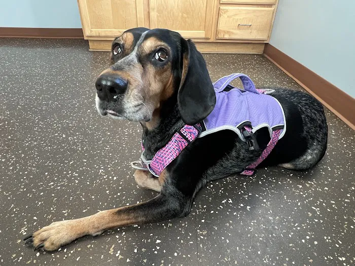 Bunn Animal Hospital Picture 10