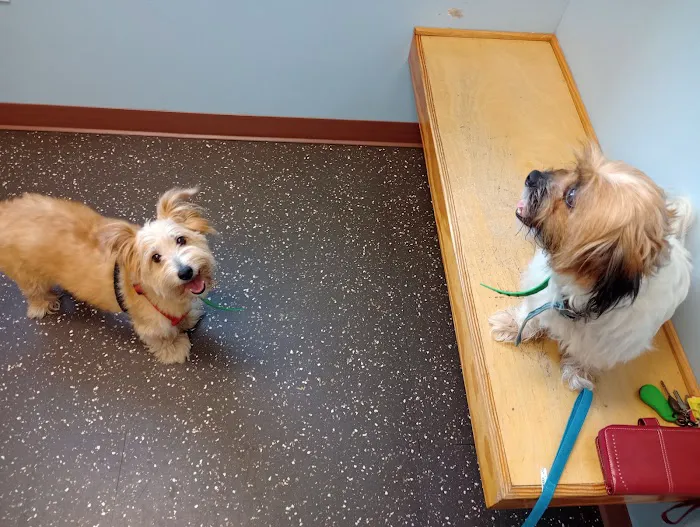 Bunn Animal Hospital Picture 5