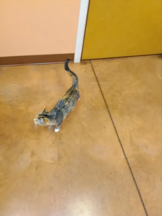 Bunn Animal Hospital Picture 3