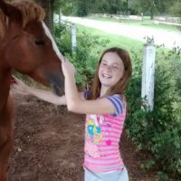 Pine Hollow Animal Hospital ico