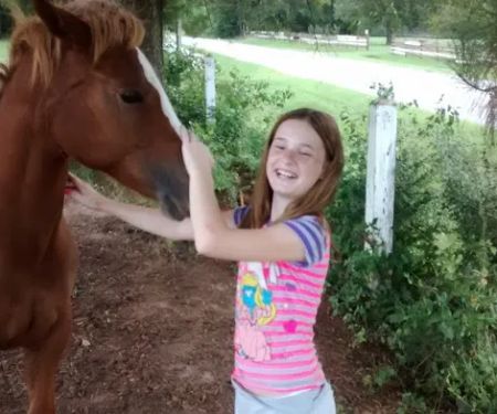 Pine Hollow Animal Hospital