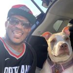 Dabney Drive Animal Hospital: Waters Bridget B DVM