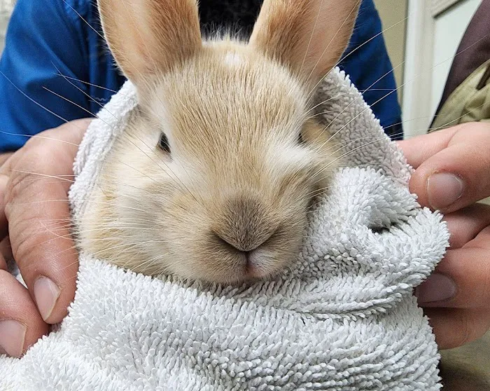 West Hills Veterinary Centre Picture 5