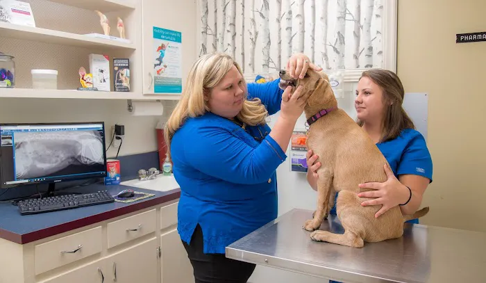 West Hills Veterinary Centre Picture 9