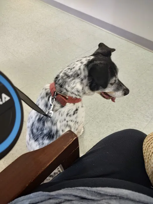 Tabbs Creek Animal Hospital Picture 7