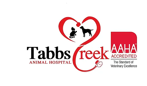 Tabbs Creek Animal Hospital Picture 9