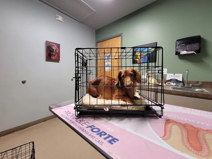 Oxford Veterinary Hospital Picture 10
