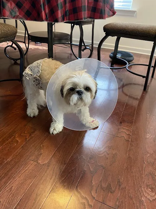Mitchell Mill Animal Hospital Picture 5