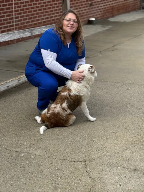 Mitchell Mill Animal Hospital Picture 1