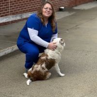 Mitchell Mill Animal Hospital ico