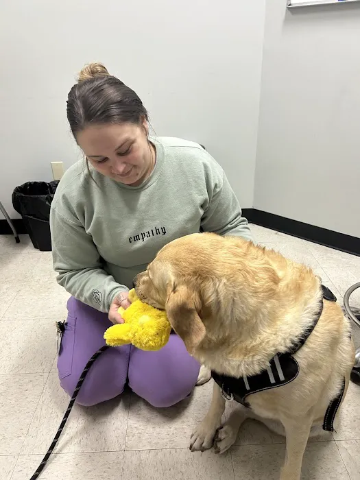 BluePearl Pet Hospital Picture 8