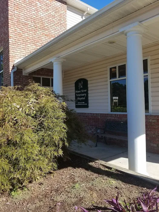 Neuse River Equine Hospital Picture 4