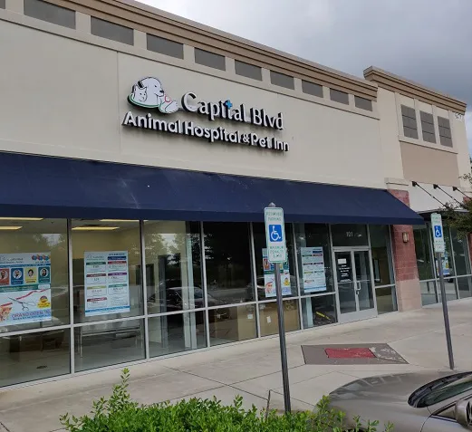 Capital Blvd Animal Hospital & Pet Inn Raleigh & Wake Forest Picture 7