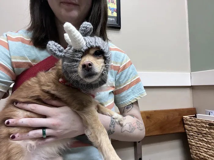 Preston Animal Hospital Picture 10