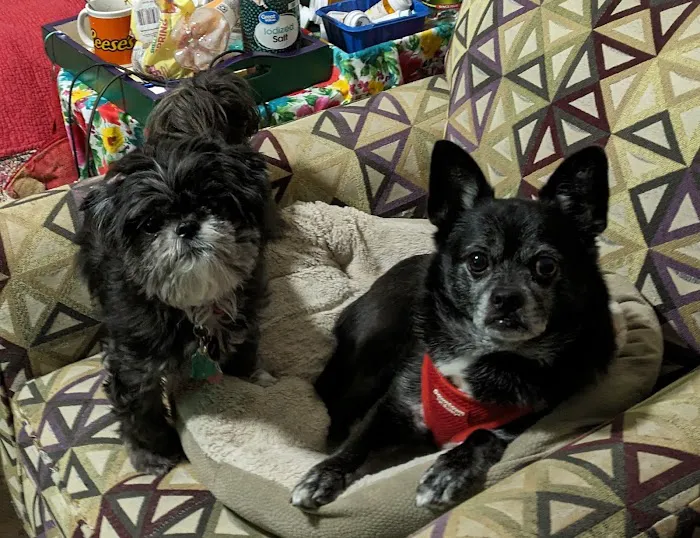 Banfield Pet Hospital Picture 10