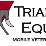 Triangle Equine Veterinary Services