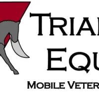Triangle Equine Veterinary Services ico