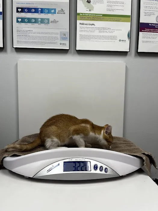 Cary Veterinary Hospital Picture 2
