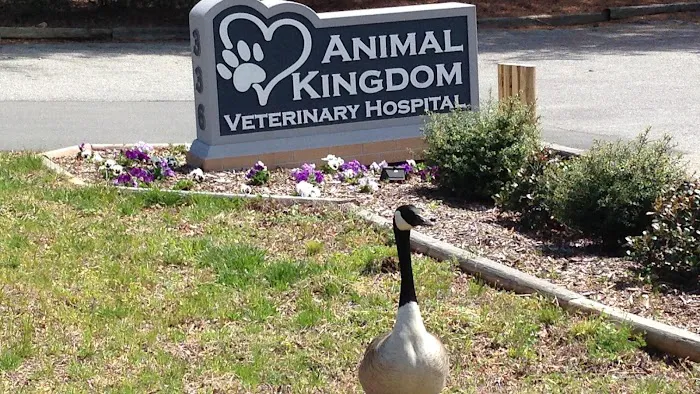 Animal Kingdom Veterinary Hospital Picture 5