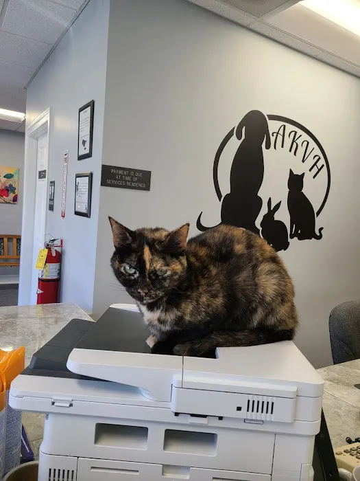 Animal Kingdom Veterinary Hospital Picture 6