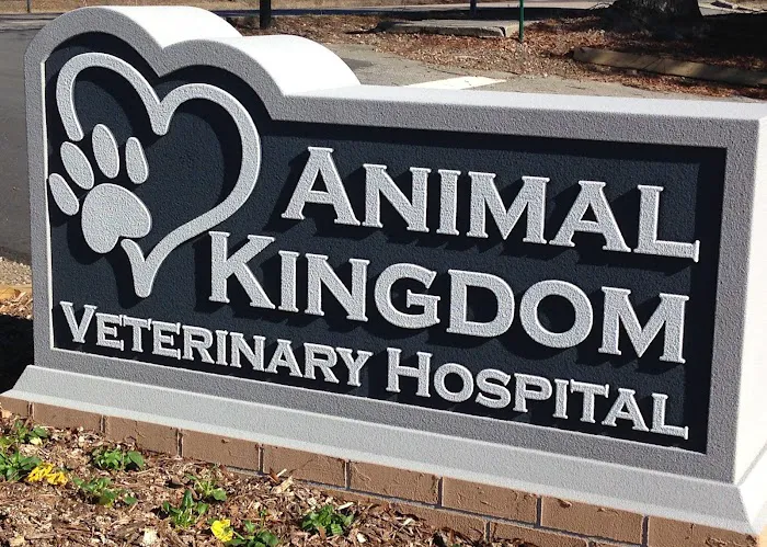 Animal Kingdom Veterinary Hospital Picture 8