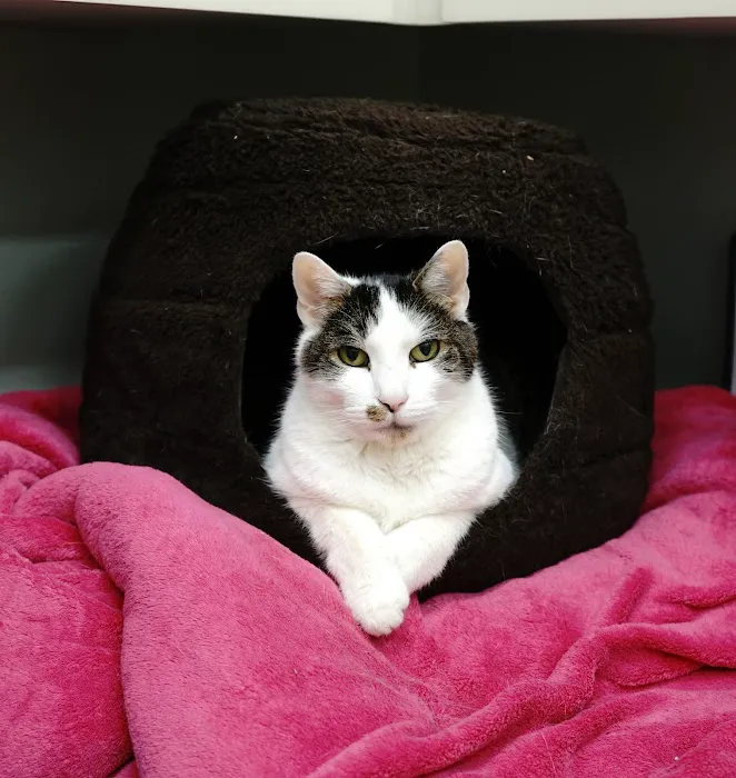 Noah's Ark Veterinary Hospital Picture 8