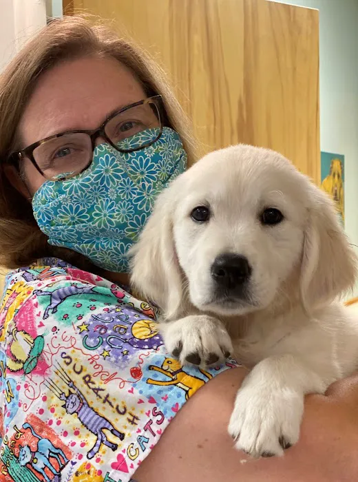 Noah's Ark Veterinary Hospital Picture 3