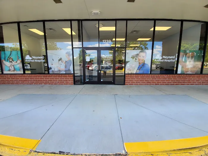 Maynard Animal Hospital- Cary Picture 4