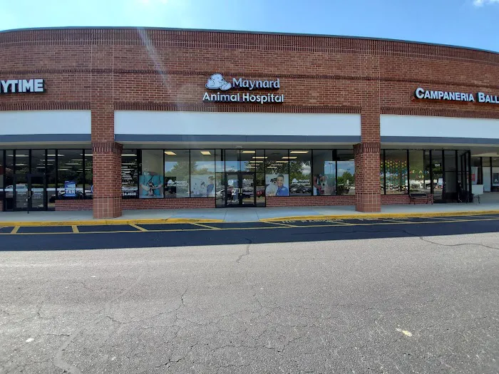 Maynard Animal Hospital- Cary Picture 7