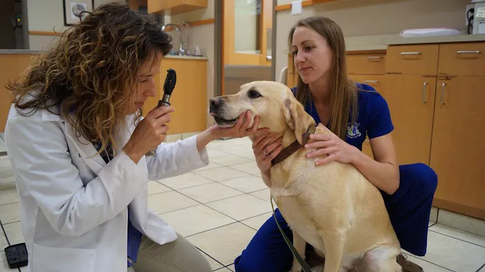 Grace Park Animal Hospital Picture 10