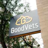 GoodVets Morrisville ico
