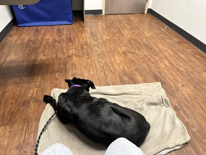 Quartet Veterinary Specialty Hospital Picture 5
