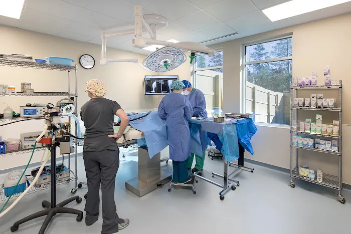 Quartet Veterinary Specialty Hospital Picture 10