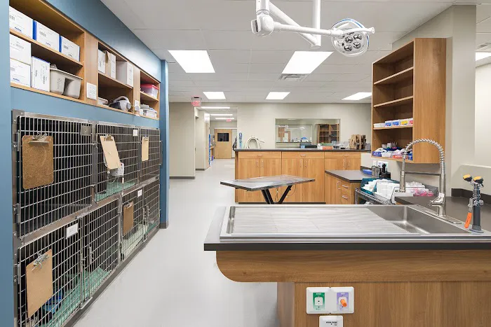 Quartet Veterinary Specialty Hospital Picture 4