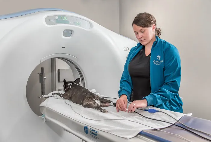 Quartet Veterinary Specialty Hospital Picture 1