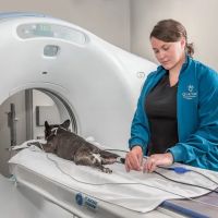 Quartet Veterinary Specialty Hospital ico