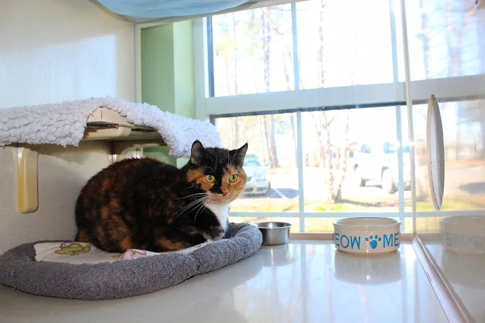 Carpenter Animal Hospital and Pet Inn Picture 4